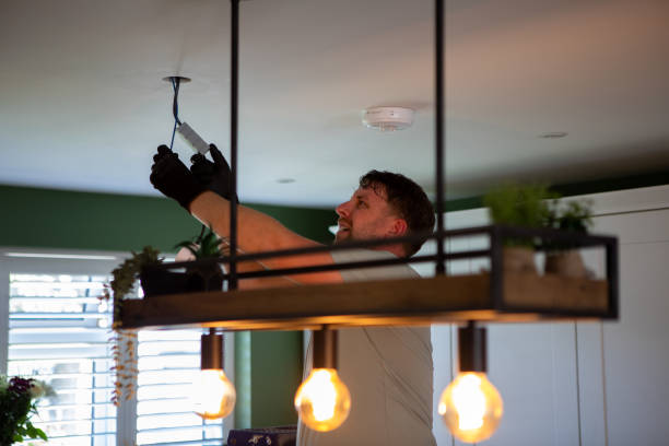Best Electrical Repair Services  in Mountain Lodge Park, NY